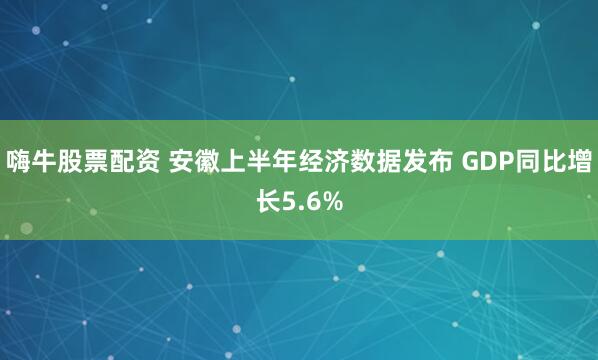 嗨牛股票配资 安徽上半年经济数据发布 GDP同比增长5.6%