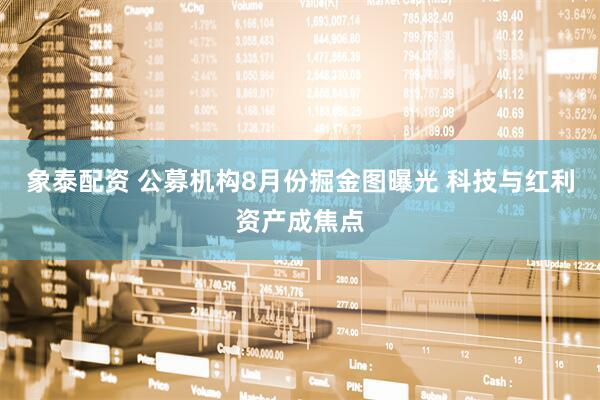 象泰配资 公募机构8月份掘金图曝光 科技与红利资产成焦点