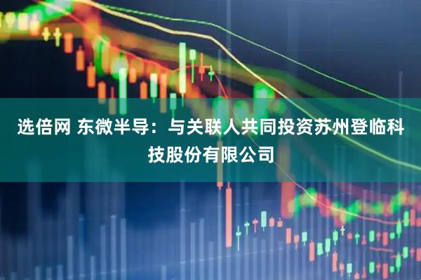 选倍网 东微半导：与关联人共同投资苏州登临科技股份有限公司